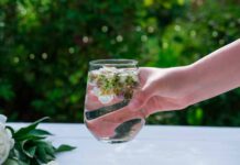 El Arte de Beber Agua: Descubre la Hidratación Consciente